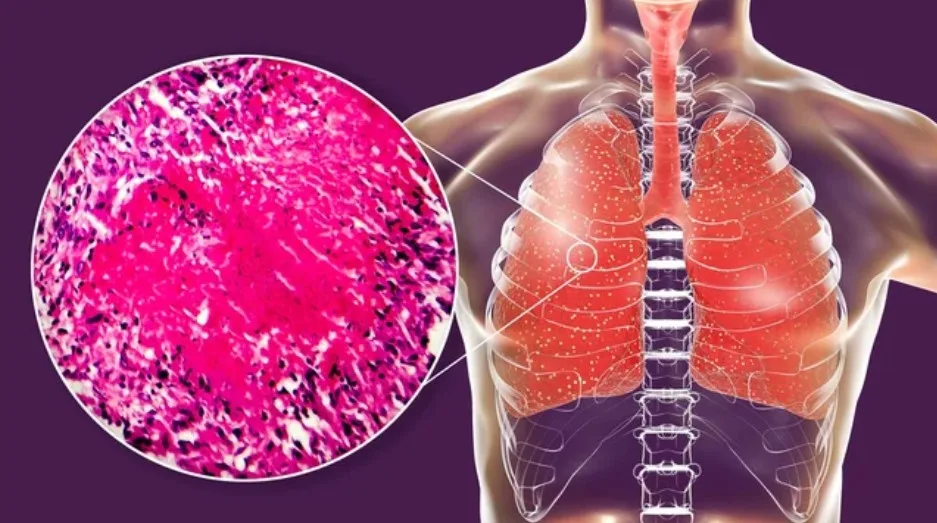 Cell Biology and Histology